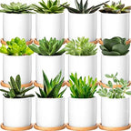 Cindeer 12 Pack Small Succulent Pots 3 Inch Plant Pots with Drainage,White by Cindeer