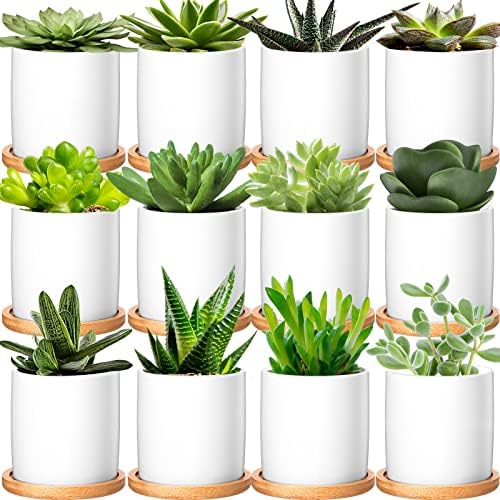 Cindeer 12 Pack Small Succulent Pots 3 Inch Plant Pots with Drainage,White by Cindeer