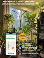Grow Lights for Indoor Plants,LED Plant Light with Stand for Indoor Growing - Image 3