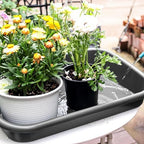 Luwint Garden Tidy Potting Tray, Plant Reportting Tray for Indoor Transplanting Gardening Planting Accessories Large Succulent Table (Black) - Image 4