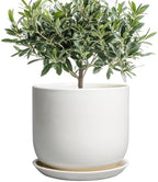 Ceramic Plant Pot - Modern 8 Inch Round Planter for Indoor Outdoor Plants with Drainage Hole and Saucer, Home House Room Office Decor, White by SUNPOTFOR