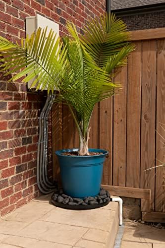 Drain Away White 15.5 Inch Plant Saucer Heavy Duty Drain Tray for Large Pots Indoor Outdoor Waterproof UV Resistant | Protect Floors Decks | 12in 15in 22in | White Gray Terra Cotta Black - Image 6