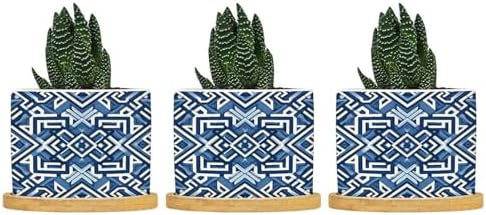 Lacefield Print Geometric Blue Ceramic Planters Chinoiserie Grandmillenial Trail Planters for Outdoor Plants with Drainage Holes and Saucers Pot for Home Office Desk Garden by BRUYU5SE