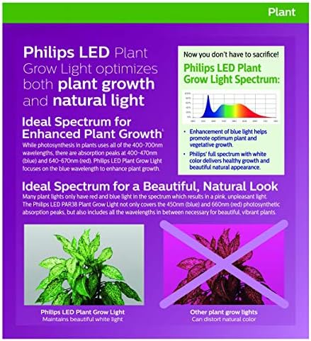 Philips LED Plant Grow Light Bulb PAR38, 1325 Lumen, Daylight (5000K), 15.5W, E26 Base, Title 20 Certified, 1-Pack - Image 4