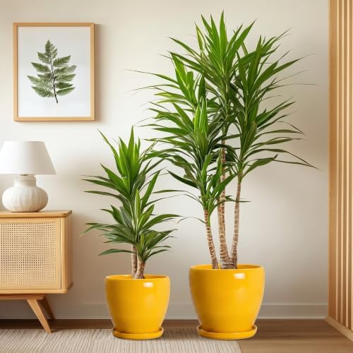 Ceramic 10/8/6 Inch Planter, Ceramic Plant Pots Indoor, Yellow - Image 4