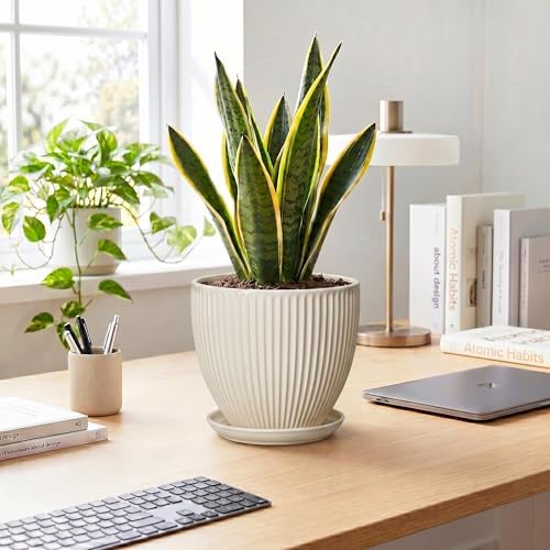 Ceramic Flower Pots, 8 Inch Plant Pot with Saucer, Cream White - Image 3