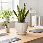 Ceramic Flower Pots, 8 Inch Plant Pot with Saucer, Cream White - Image 3
