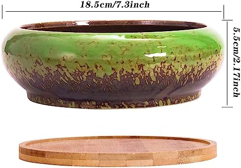 ARTKETTY Succulent Pots, 2 PCS Large Bonsai Pots with Drainage Tray - Image 2