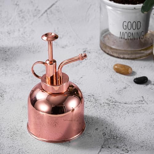 Vintage 300ml Watering Bottle with Pump Stainless Steel Sprayer for Plants - Image 5
