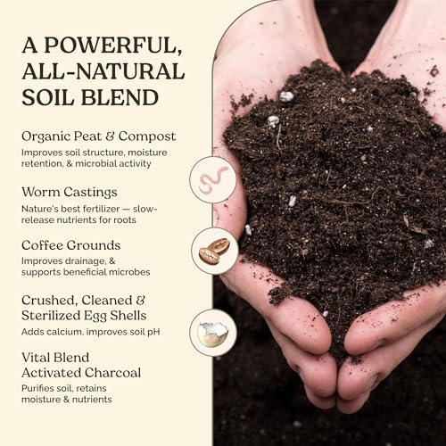 Organic Potting Soil Supplement Mix for Plants, 10 lb - Image 2