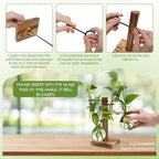 Plants Propagation Stations Bulb Glass Propagation Birthday Gift for Women - Image 2
