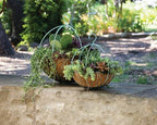 SuperMoss Leeds Sphere Black Metal 10" Hanging Basket - Image 2