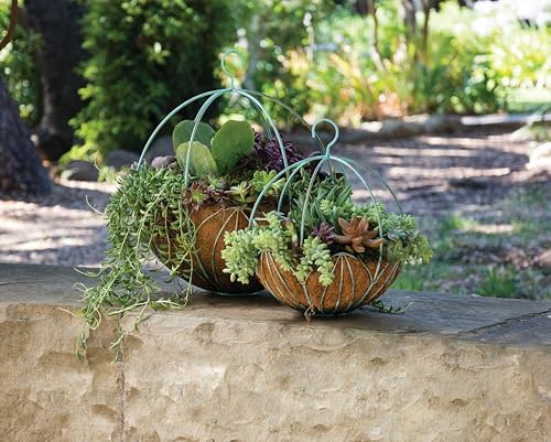 SuperMoss (80301) Leeds Sphere Metal Hanging Basket – Modern Hanging Planter for Indoor & Outdoor Plants – Decorative Metal Hanging Basket for Home, Patio, Garden & Balcony Décor, Medium (14"), Patina - Image 2