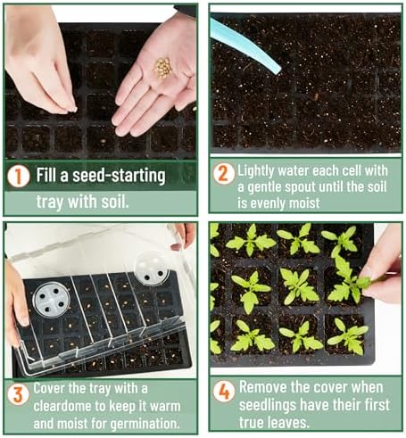 Mr. Pen- Seed Starter Tray Kits, 10 Pack, Total 400 Cells - Image 5