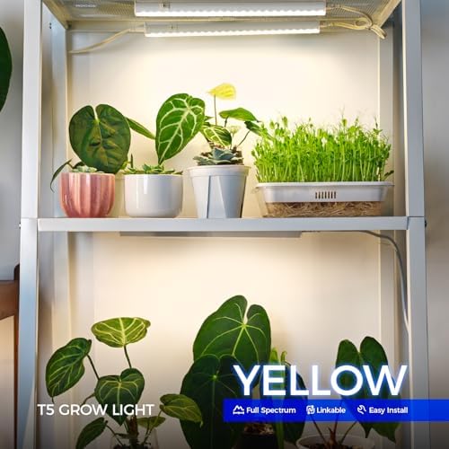 Barrina Grow Lights for Indoor Plant, Full Spectrum, T5 1FT Yellow, 4 Packs - Image 2