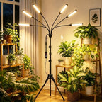 6 Heads LED Grow Lights for Indoor Plants Full Spectrum 540 LEDs, Plant Lights for Indoor Growing with Tripod Stand, Floor Grow Light with Auto 3/6/9/12/15/18H Timer for Indoor Tall Plants. by MIEEMCLUX