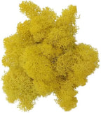 500g Artificial Moss for Crafts, Faux Decorative Plant for DIY Walls Wedding Party Table Centerpieces Home, Yellow by LKXHarleya