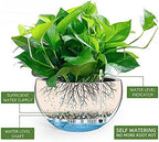 Dexceder 13.5 Inch Self Watering Hanging Planter (Brown) - Image 2