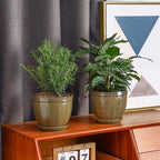 Sureasy 6.5 Inch Ceramic Plant Pots Set of 2, Green Embossed - Image 7