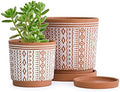 D'vine Dev Set of 2 Terracotta Pots, 4 Inch & 6 Inch, Planter Pots for Plants with Drainage Holes and Saucers, Terracotta/White, Small, 31-958-A-1 by DvineDevPlanterPotsandStand