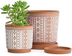 D'vine Dev Set of 2 Terracotta Pots, 4 Inch & 6 Inch, Planter Pots for Plants with Drainage Holes and Saucers, Terracotta/White, Small, 31-958-A-1 by DvineDevPlanterPotsandStand