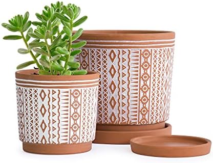 D'vine Dev Set of 2 Terracotta Pots, 4 Inch & 6 Inch, Planter Pots for Plants with Drainage Holes and Saucers, Terracotta/White, Small, 31-958-A-1 by DvineDevPlanterPotsandStand