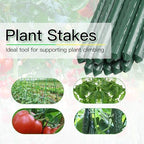 Garden Stakes 7ft, Metal Plant Stakes 7 Feet for Gardening and Farm, 84" Plastic Coated Plant Support for Tomato, Cucumber, Bean, Flower, Potted and More Climbing Plants - Image 5
