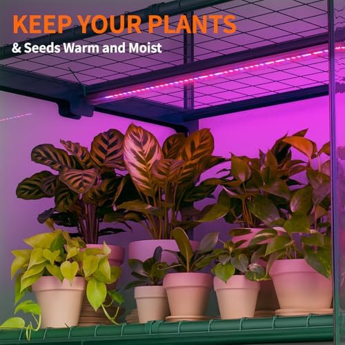 DoCred Indoor Greenhouse with Grow Light, 4-Tier Mini Greenhouse - Image 3