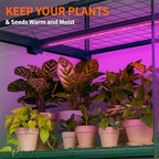 DoCred Indoor Greenhouse with Grow Light, 4-Tier Mini Greenhouse - Image 3
