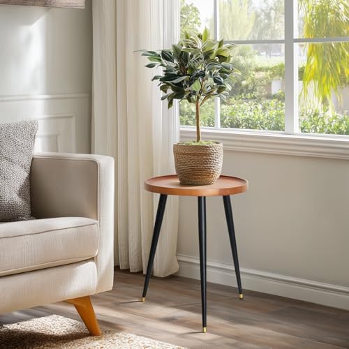 KINNARY Plant Stand Indoor, Mid Century Wood Plant Table Plant Holder with Raised Design,Heavy Duty Metal Tall Flower Pot Stand, Modern Home Decor Small Round Side End Table(11.8"x16") - Image 2