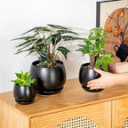 vancasso 3-Pack Ceramic Plant Pots, 3.7/4.8/6.2 Inch Indoor Planters with Saucers & Drainage Hole Planter pots for Indoor Plants and Flower, Black - Image 5
