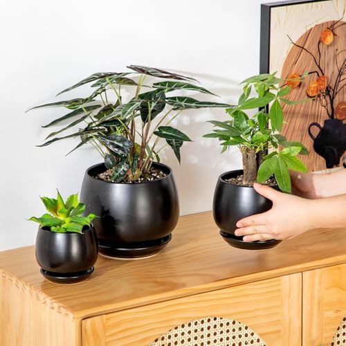 vancasso 3-Pack Ceramic Plant Pots, 3.7/4.8/6.2 Inch Indoor Planters with Saucers & Drainage Hole Planter pots for Indoor Plants and Flower, Black - Image 5