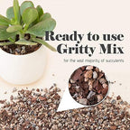 Bonsai Jack Succulent, Cactus and Bonsai Soil - Jacks Gritty Mix - 12 Gallons – Fast Draining – Fight Root Rot – Optimized pH - Image 4