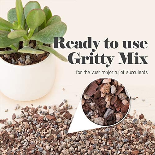 Bonsai Jack Succulent, Cactus and Bonsai Soil - Jacks Gritty Mix - 12 Gallons – Fast Draining – Fight Root Rot – Optimized pH - Image 4