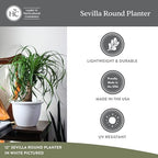 The HC Companies Sevilla Flower Planters - Durable Outdoor & Indoor Planter - Round Lightweight Self Watering Plant Pots for Herbs & More (16" Black, Pack of 1) - Image 5
