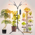 FRGROW 6Head Grow Light with Stand for Tall and Large Indoor Plants by FRGROWLEDGROWLIGHTS