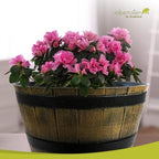Headwind Whiskey Barrel Planter – 15 Inch New Wood Barrel Planters for Outdoor Plants – Weather-Resistant Flower Pot with Wooden Finish – Decorative Indoor & Outdoor Garden Planter by Robert Allen - Image 4