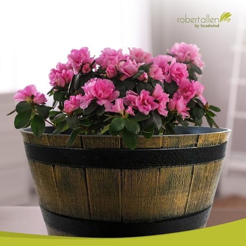 Headwind Whiskey Barrel Planter – 20 Inch New Wood Barrel Planters for Outdoor Plants – Weather-Resistant Flower Pot with Wooden Finish – Decorative Indoor & Outdoor Garden Planter by Robert Allen - Image 4