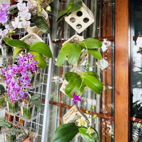 Gnliny Ceramic Orchid Pot, 4" Cube Breathable Planter for Air Plants, White - Image 7