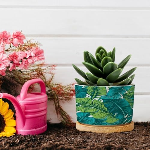 Turquoise Green Planter Ceramic Teal Blue Tropical Round Plant Pot with Drainage Holes and Bamboo Tray Pot for Home Office Desk Garden - Image 5