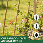 2 Pack 47''x18'' Bamboo Trellis for Climbing Plants Outdoor, Oltara A-Frame Foldable Garden Trellis for Cucumbers, Raised Beds, Tomatoes, Beans, Vegetables & Flowers Support - Image 5
