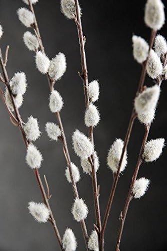 Richland Artificial Pussy Willow Branch 31" (Set of 12 Branches) by Richland