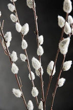 Richland Artificial Pussy Willow Branch 31" (Set of 12 Branches) by Richland