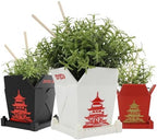 3D Printed Planter Chinese Takeout Box - Set of 3 with (Free) Trays and Chopsticks - Plant Pot with Drainage Decor, Oyster Pail planters Plant - Made in USA by Handmade