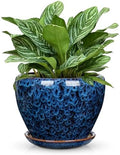 Hollyone 9inch Ceramic Planter Blue Ceramic Plant Pot for Plants Flowers with Drainage Hole and Saucers Ceramic Glaze Round Flower Plant Pot for Indoor Outdoor Large Round Succulent Orchid Flower Pot by Hollyone