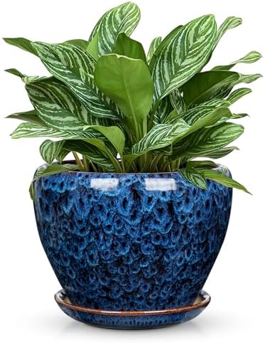 Hollyone 9inch Ceramic Planter Blue Ceramic Plant Pot for Plants Flowers with Drainage Hole and Saucers Ceramic Glaze Round Flower Plant Pot for Indoor Outdoor Large Round Succulent Orchid Flower Pot by Hollyone