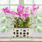 Teenyyou 9.5" Orchid Pot Ceramic with Hole Saucer for Repotting, White by Teenyyou