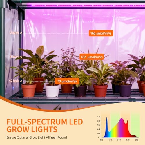 DoCred Indoor Greenhouse with Grow Light, 4-Tier Mini Greenhouse - Image 4
