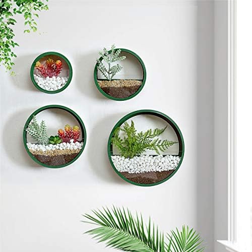 Pack of 4 Round Wall Planters Hanging Metal Plant Containers Circle Plant Holder Contemporary Morden Circle Iron Vase for Succulents or Herbs Cactus and More (Green) by EssenceLiving