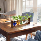 Plant Terrarium Hanging Propagation Stations Gift for Women - Image 5